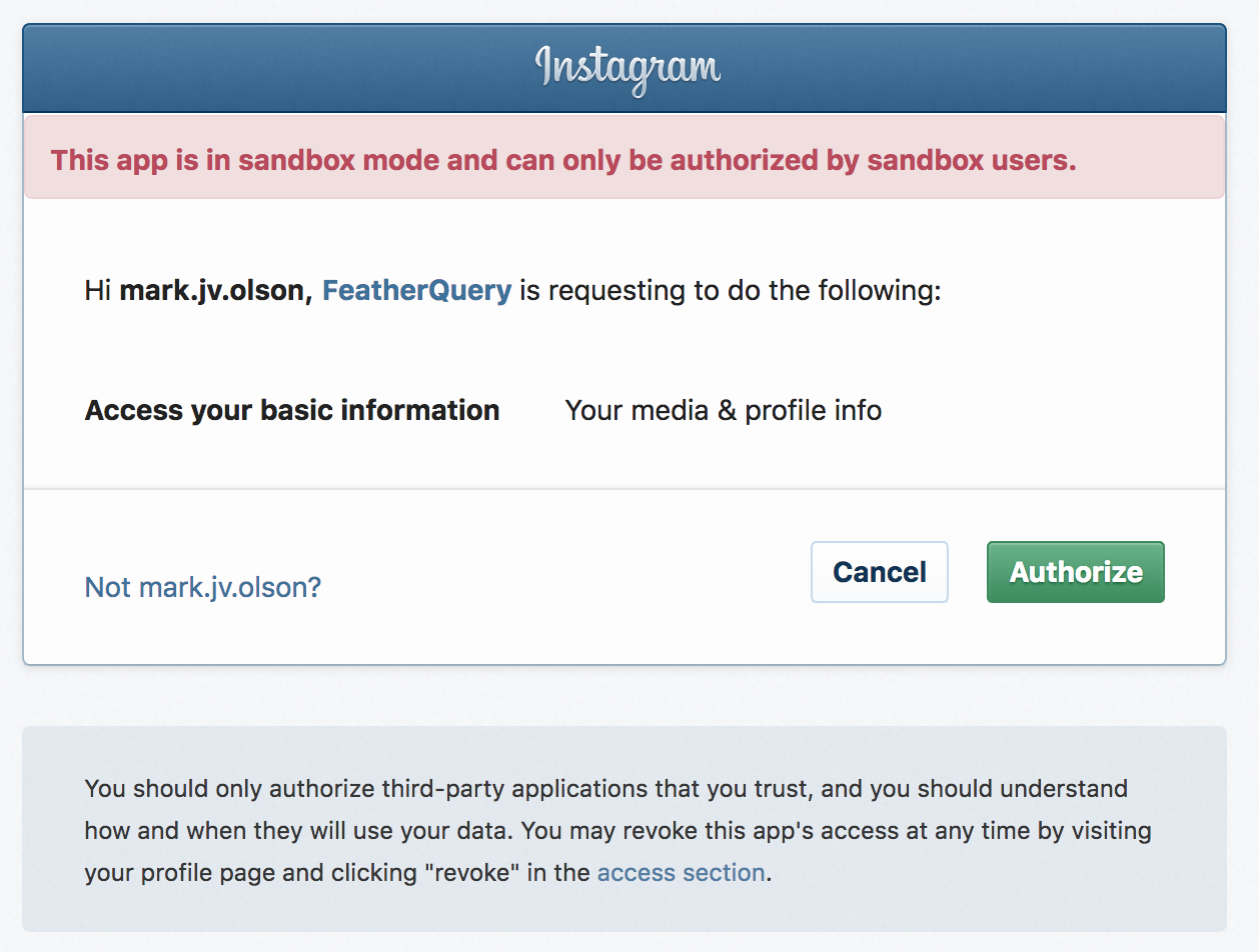 Instagram Authorization Page