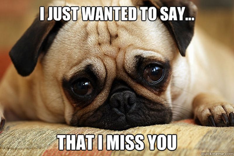 Miss You