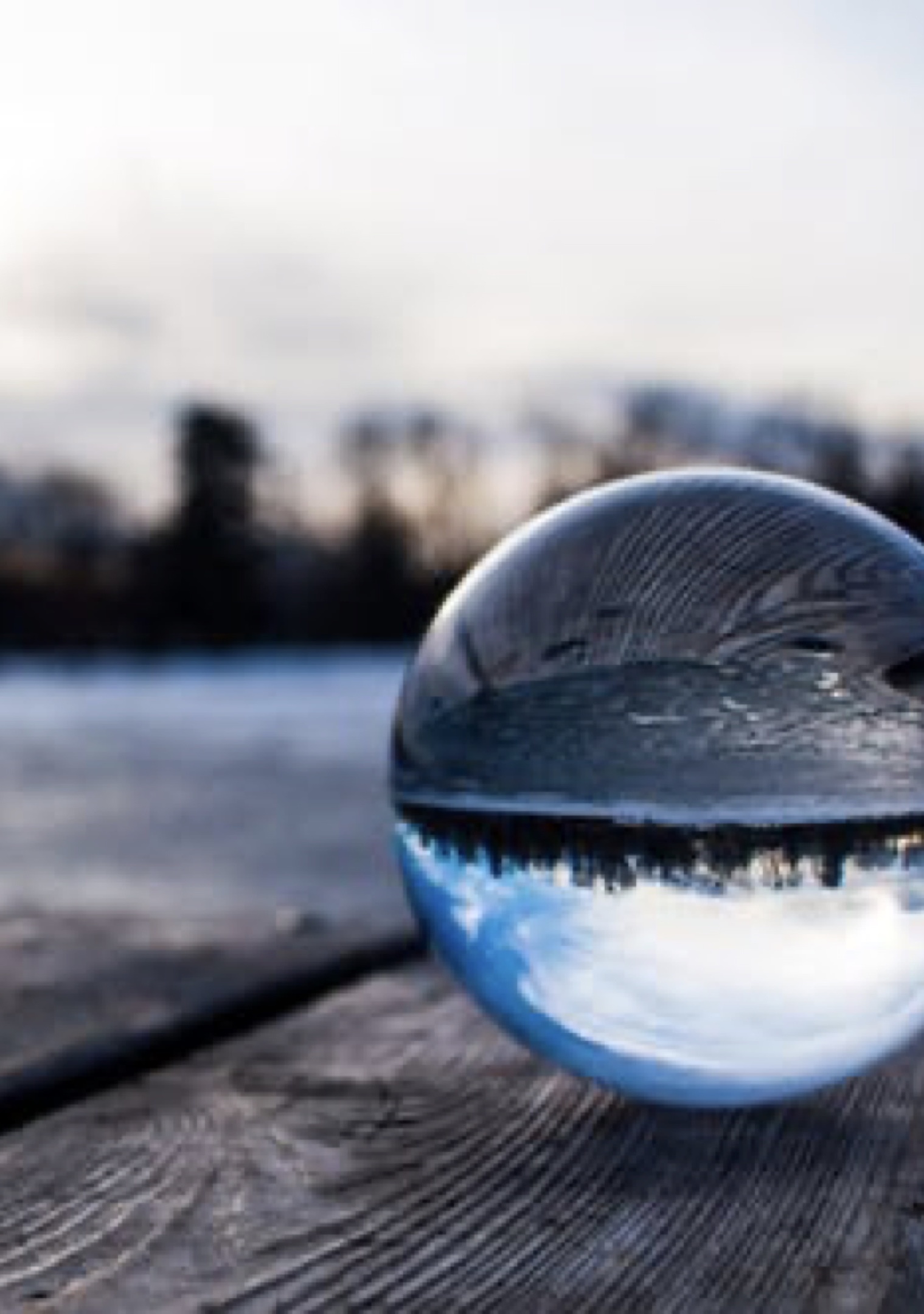 Reflection/Refraction
